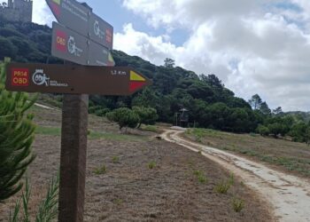 Óbidos aumenta extensão de percursos pedestres com a Rota Panorâmica, a Rota dos Ginjais e o Caminho de Santo Antão