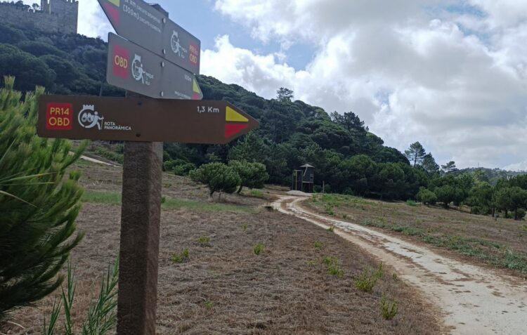 Óbidos aumenta extensão de percursos pedestres com a Rota Panorâmica, a Rota dos Ginjais e o Caminho de Santo Antão