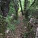 Limpeza de caminho em Alvados custa multa de 12 mil euros à junta