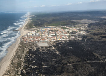 O incêndio no Pinhal de Leiria –  Fotogaleria