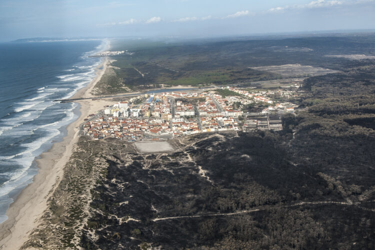 O incêndio no Pinhal de Leiria –  Fotogaleria