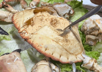 Hoje é Dia Mundial de Comer em Leiria