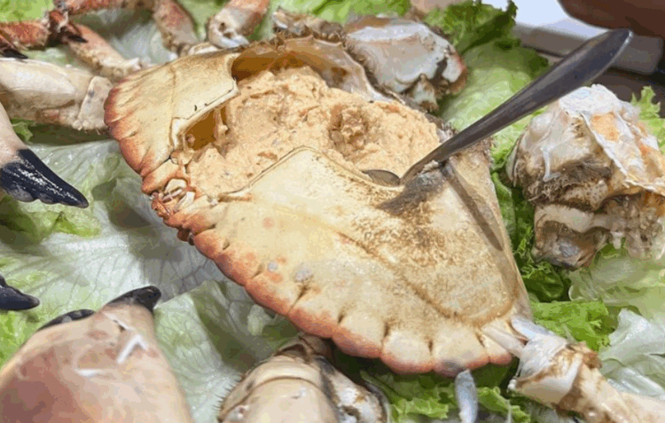 Hoje é Dia Mundial de Comer em Leiria