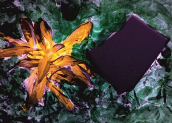 António Palmeira mostra Pintura em Sais de Prata até 6 de Novembro