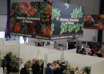 Vendedores e clientes reclamam intervenções urgentes no mercado municipal