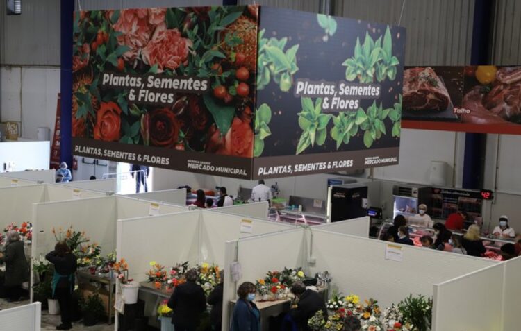 Vendedores e clientes reclamam intervenções urgentes no mercado municipal