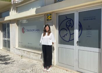 Doctorvet cuida da saúde do cão, do gato e até do furão