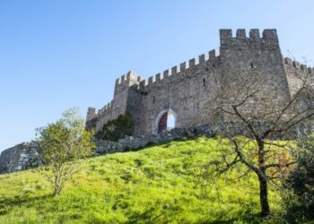 Rota Botânica em Castanheira de Pera e Pombal com experiências sensoriais