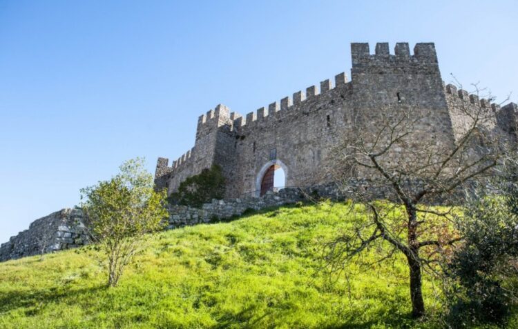 Rota Botânica em Castanheira de Pera e Pombal com experiências sensoriais