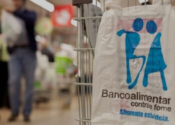 Municípios do Oeste recolhem cerca de 41 toneladas de ajuda