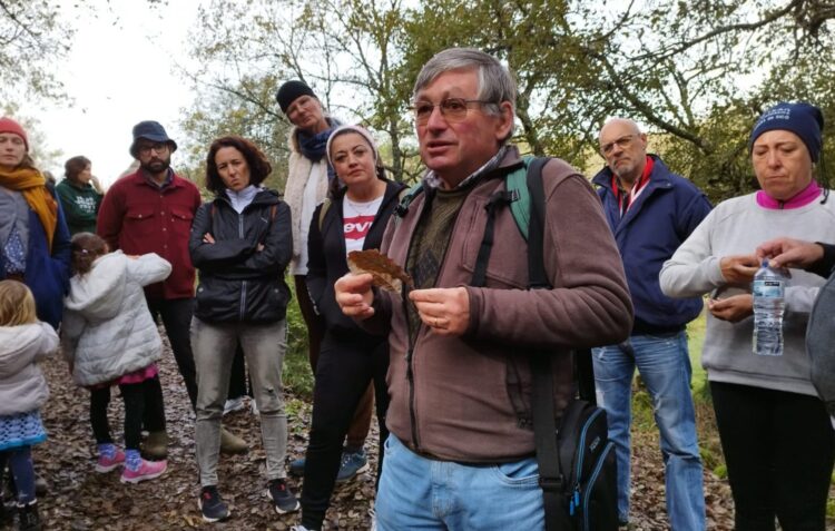 Meia centena de participantes exploram floresta autóctone em Ansião