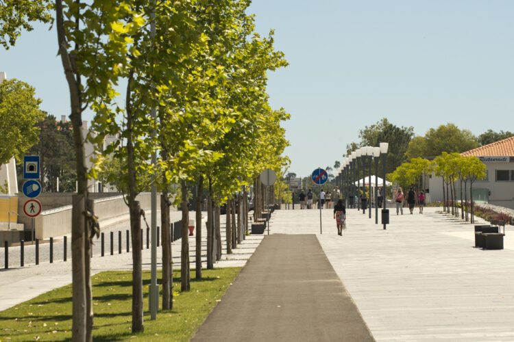 Conferência debate futuro de Fátima ao nível ambiental e urbanístico