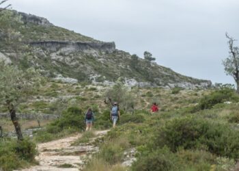 Junta de Serro Ventoso, em Porto de Mós, absolvida em processo de limpeza de caminho