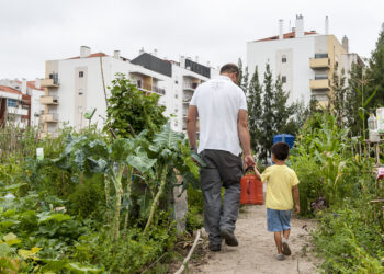 Dezenas de pessoas esperam por vaga nas hortas urbanas