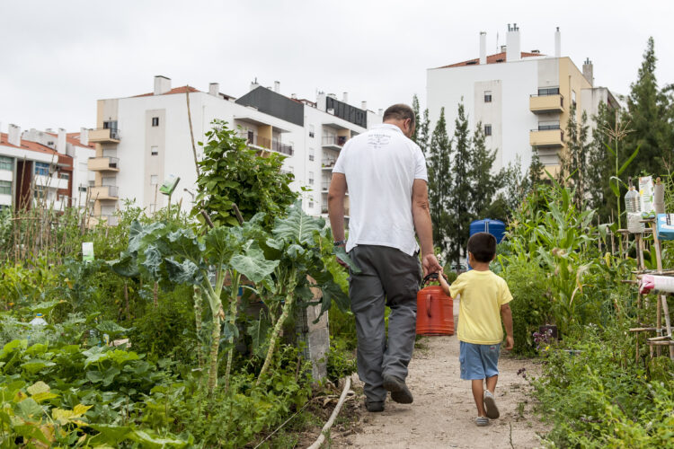 Dezenas de pessoas esperam por vaga nas hortas urbanas