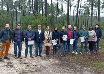 Criação de parque na Calvaria vence  Orçamento Participativo em Porto de Mós