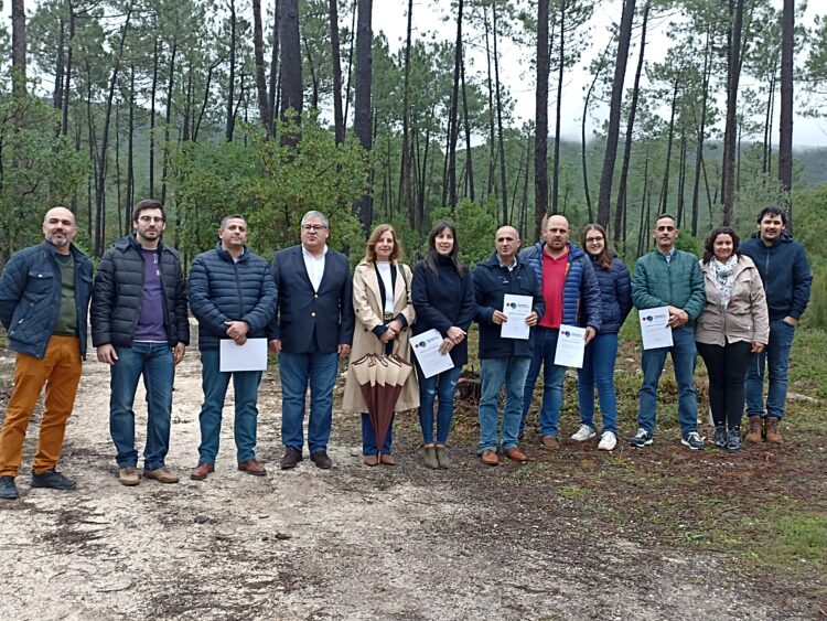 Criação de parque na Calvaria vence  Orçamento Participativo em Porto de Mós