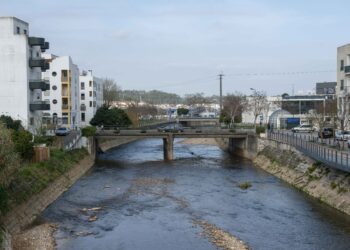 Público e especialistas em Ambiente debatem o estado do rio Arunca, em Pombal