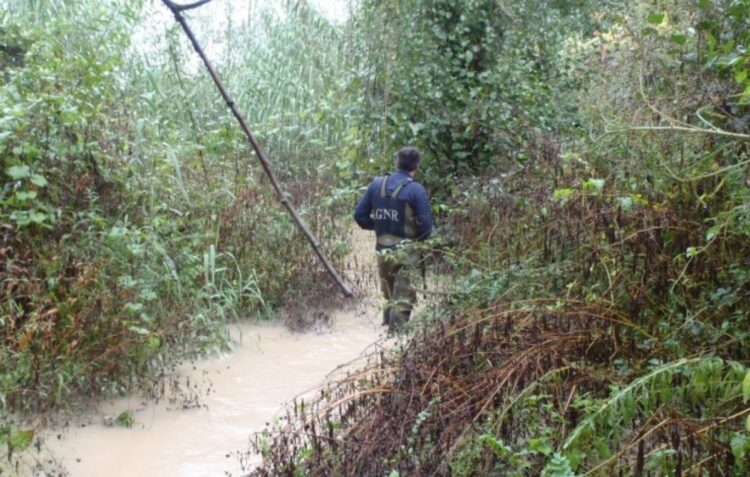 GNR investiga denúncia de descargas na ribeira dos Milagres