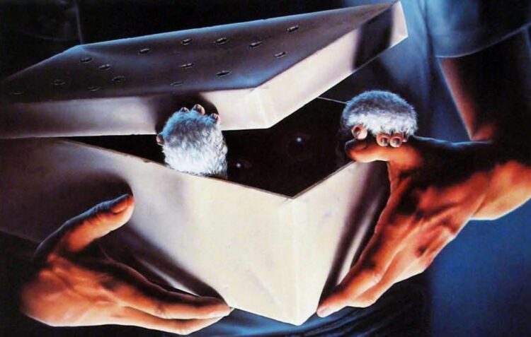 Clássicos e não só: 10 filmes e 10 canções para celebrar o Natal
