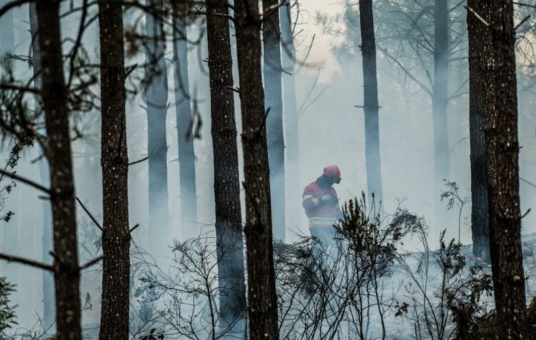 Presidente da República defende fórmula para compatibilizar apoios com casos limite nos incêndios