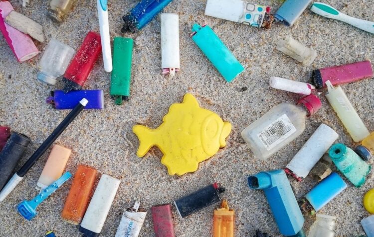 Limpeza da Praia do Samouco, no próximo dia 3 de Janeiro