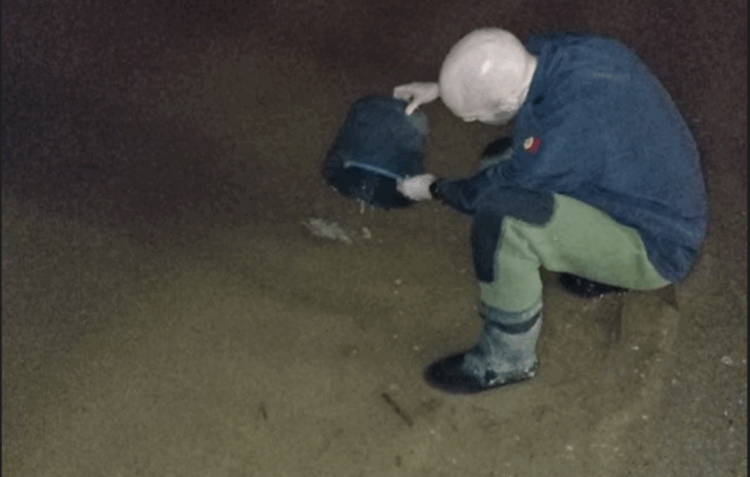 GNR detém dois homens por pesca ilegal de meixão em Caldas da Rainha