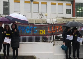 Professores em greve por melhores condições manifestam-se em Colmeias