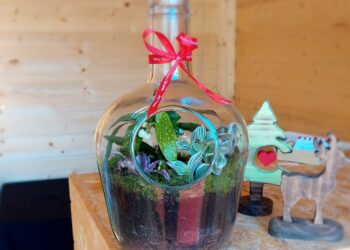 Prenda de Natal original? Já conhece os terrários da Flora Local?