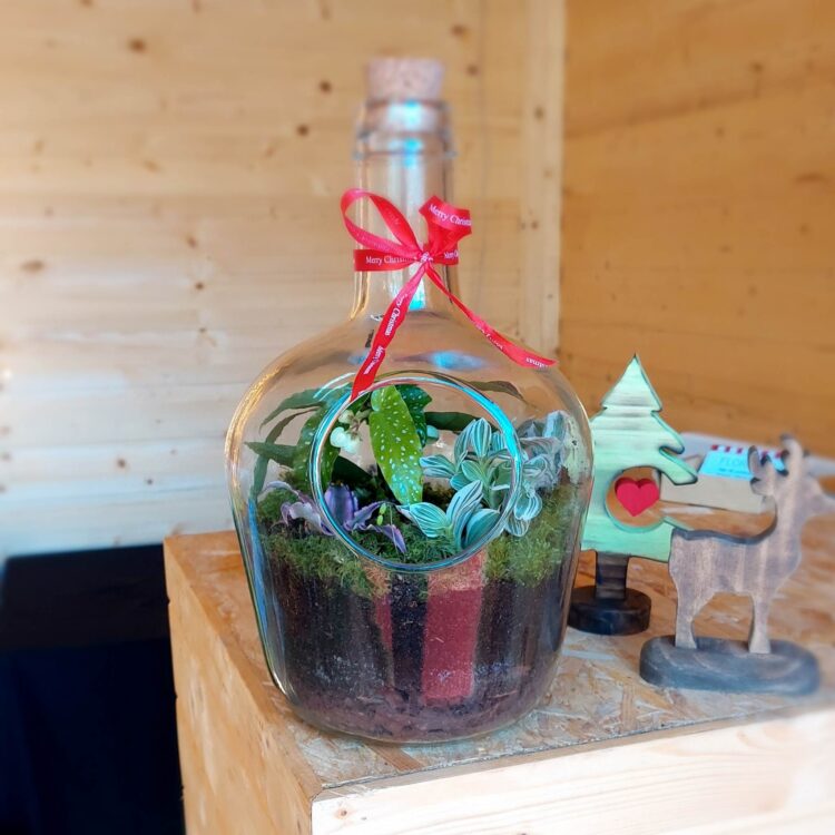 Prenda de Natal original? Já conhece os terrários da Flora Local?