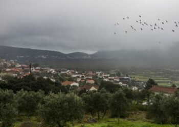 Encontrado homem desaparecido ontem em Mira de Aire