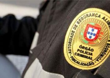 ASAE desmantela local de abate clandestino de animais na Batalha
