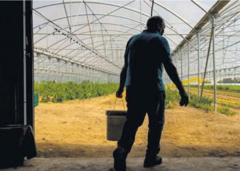 Agricultores da região desesperam sem respostas do Estado