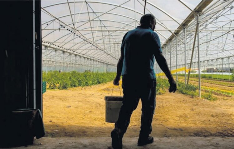 Agricultores da região desesperam sem respostas do Estado