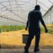 Agricultores da região desesperam sem respostas do Estado