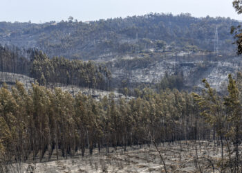 Ministério Público arquiva inquérito aos fogos de Julho de 2022 no concelho de Leiria