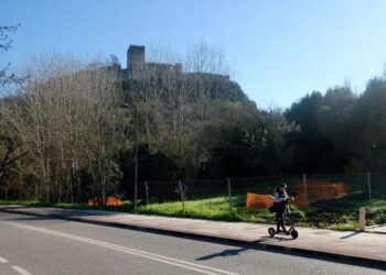 Câmara de Leiria substitui árvores da encosta do Castelo