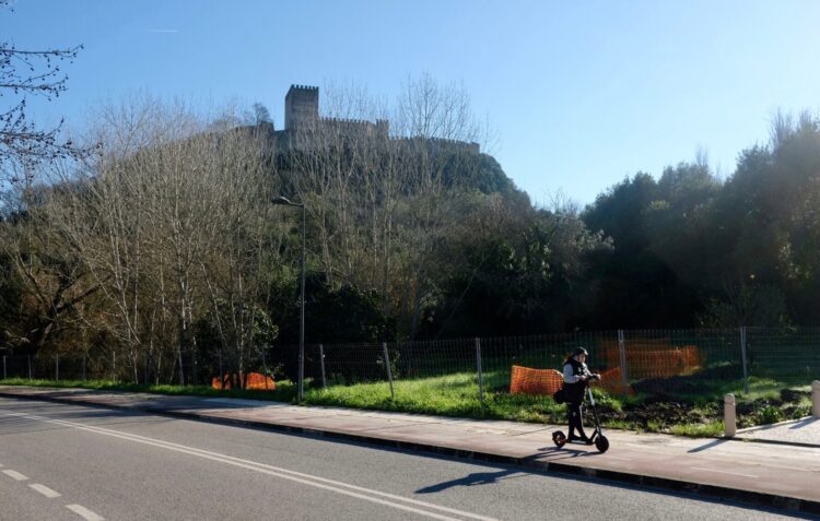 Câmara de Leiria substitui árvores da encosta do Castelo