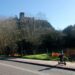 Câmara de Leiria substitui árvores da encosta do Castelo