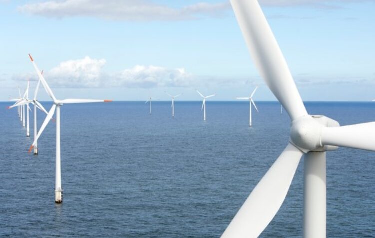 Autarcas de Leiria exigem indemnizações para compensar impacto negativo das eólicas offshore
