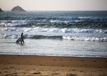 Formação em Turismo para empresários e associados do MOV.Peniche