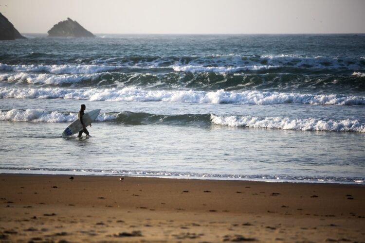 Formação em Turismo para empresários e associados do MOV.Peniche