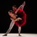 António Casalinho e Margarita Fernandes vão dançar em Londres na exclusiva Ballet Icons Gala
