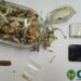 GNR de Peniche apreende cogumelos alucinogénios e MDMA