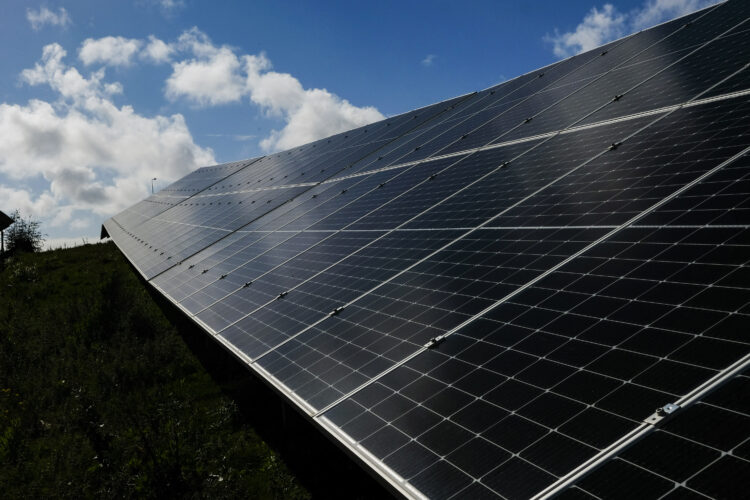 Bairro Solar de Caldas da Rainha vai abranger mais de 200 empresas