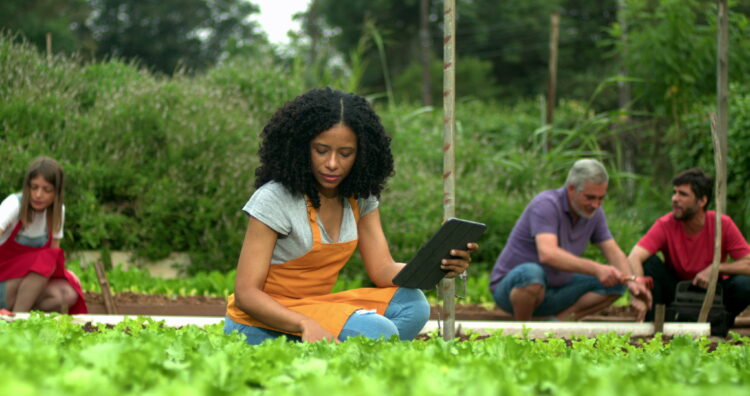 Politécnico de Leiria integra projecto que identifica problemas na agricultura urbana