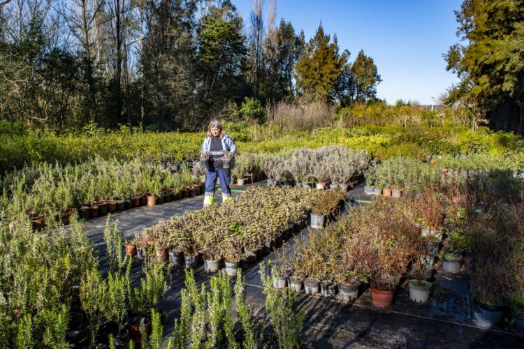 Horto municipal, um guardião de biodiversidade às portas de Leiria