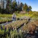 Horto municipal, um guardião de biodiversidade às portas de Leiria