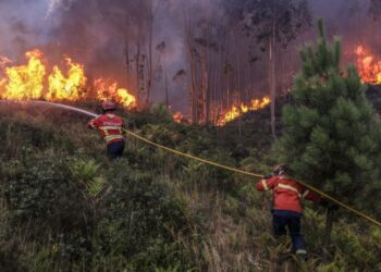 Autarquias mantêm preocupação com carta de perigosidade de incêndio rural