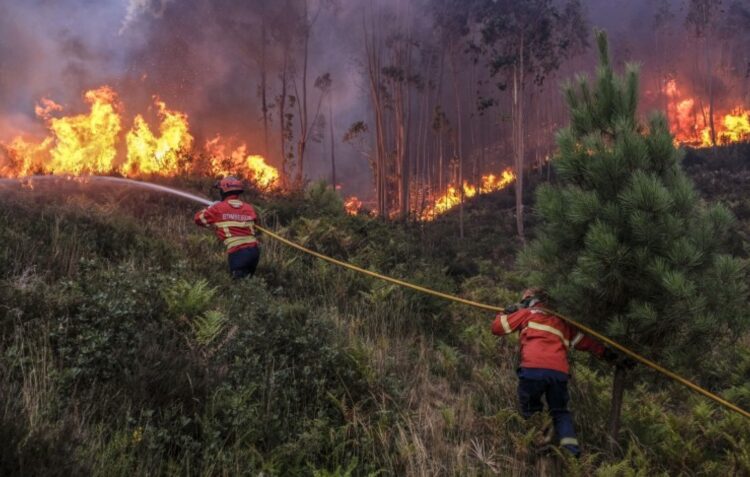 Autarquias mantêm preocupação com carta de perigosidade de incêndio rural